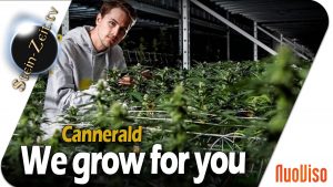 CannerGrow – We grow for you